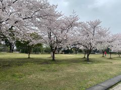 -石湖景区