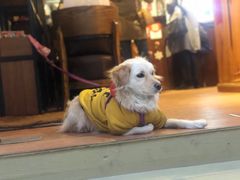 -元氏钵仔糕(北京路店)