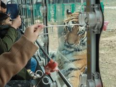 -西安秦岭野生动物园