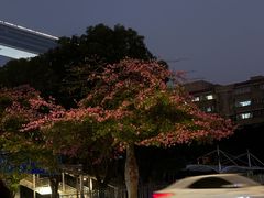 -广州珠江新城太古汇宜致美居