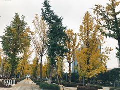 -百林公园-两江幸福广场