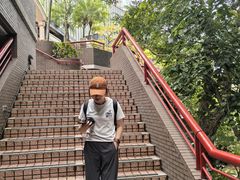 -香港大学