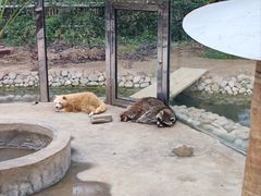 -呀路古热带植物园