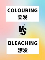 -KS COLOUR漂色·染发·画染