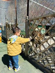 -萌宠亲子动物乐园(槐房万达店)