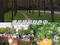 -成都南湖公园
