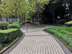 -神仙树公园
