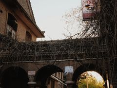 -山东大学(趵突泉校区)