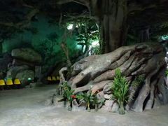 -福州罗源湾海洋世界旅游区