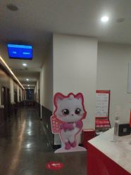 -上海玫瑰医疗美容医院