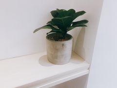 -Onirii Coffee(长乐路店)