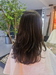 -付军剪艺JF ProSalon