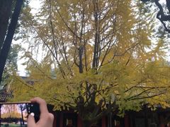 -成都武侯祠博物馆