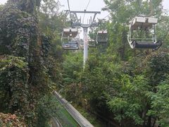 -富斯特索道