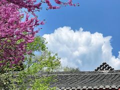 -青城山
