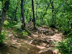 -阳台山自然风景区