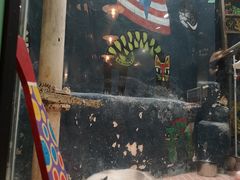 -猫咪博物馆(顶澳仔猫街店)