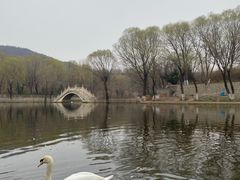 -石家庄市动物园