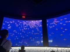 -沈阳海洋探索中心