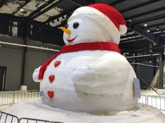 -宁波冰雪大世界(北仑区)