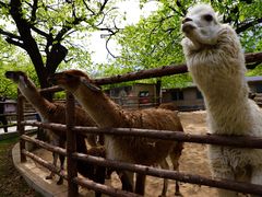 -西安秦岭野生动物园