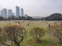 -莲花山公园