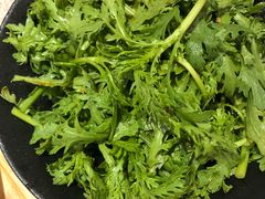 醋拌茼蒿-九毛九西北菜(番禺万达店)