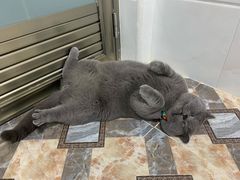 -KKV(深圳宏发大仟里店)