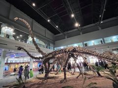 -自贡恐龙博物馆