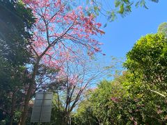 -火炉山森林公园