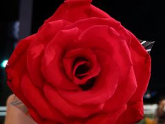 -芽庄MP泰式海鲜海景餐厅