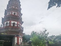 -中山公园(石岐街道)