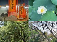 -泸州老窖景区