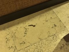 -七仙岭君澜度假酒店
