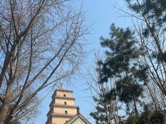 -大慈恩寺(大雁塔)