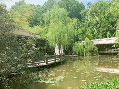 -西院1号(龙井店)