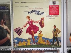 -树懒黑胶唱片店(中山路店)