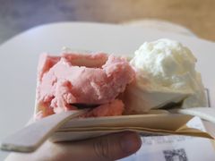-野人牧坊Gelato(天津南开大悦城店)