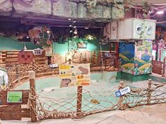 -正佳雨林生态植物园