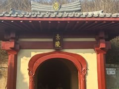 -洛阳古墓博物馆