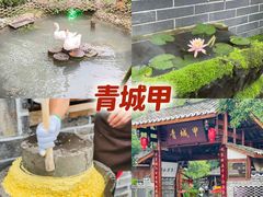 -青城甲(青城山店)