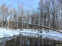 -长白山万达国际滑雪场