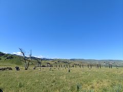-新疆那拉提国家旅游度假区