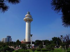 -渡海小渔村.老辈日照菜
