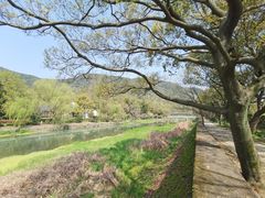 -兰亭风景区