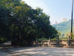 -丰都鬼城名山景区