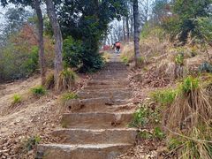 -青龙山国家森林公园