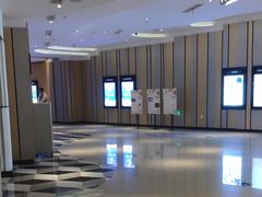 -百丽宫影城(CGS激光苏宁广场店)