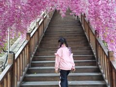 -沕沕水生态风景区