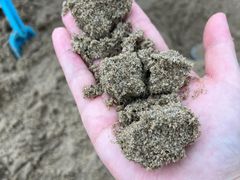 -北戴河东海水浴场